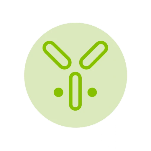 ICONOS 1 Y 2