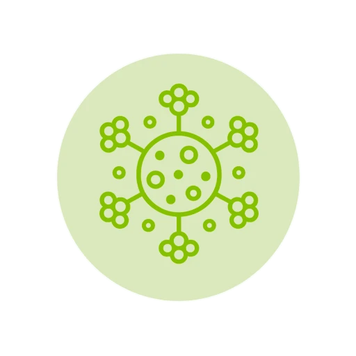ICONOS 5 2