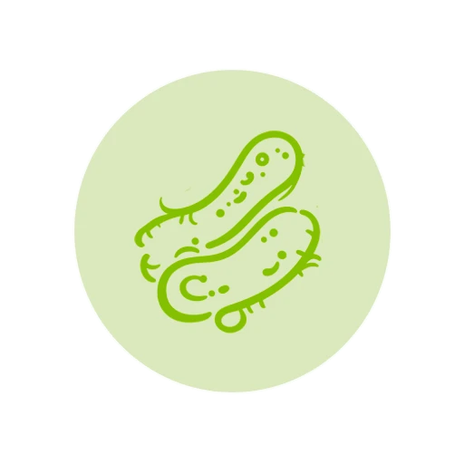 ICONOS 9