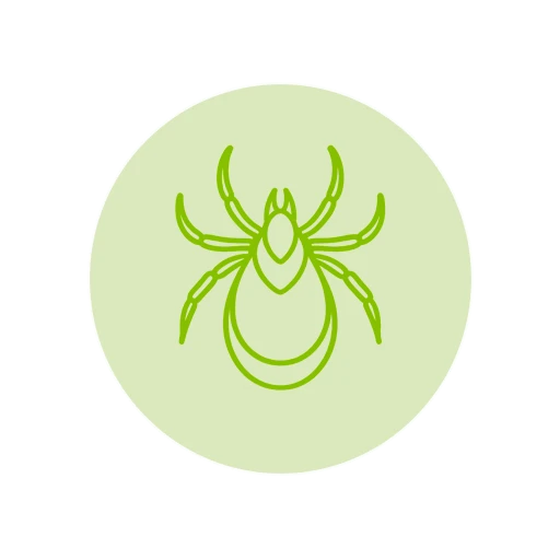 Tick Borne Bacteria Flow Chip Kit
