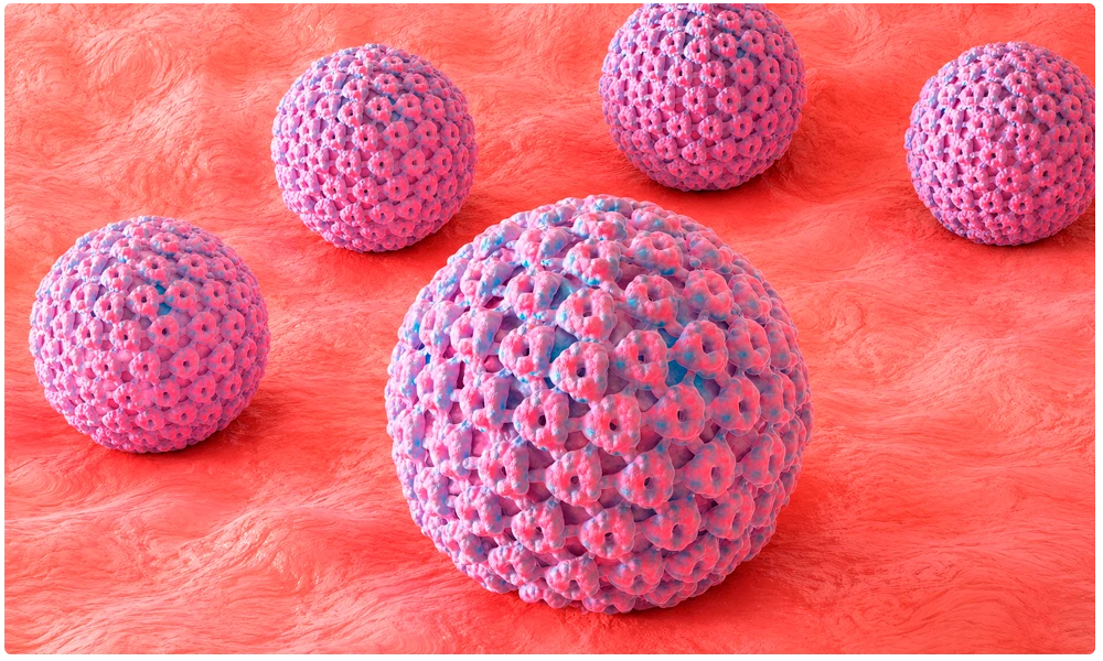 Cabeceras Vitro HPV Screening Kit