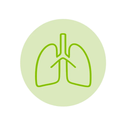 Pleuropulmonar