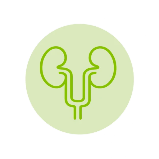 Uropatologia